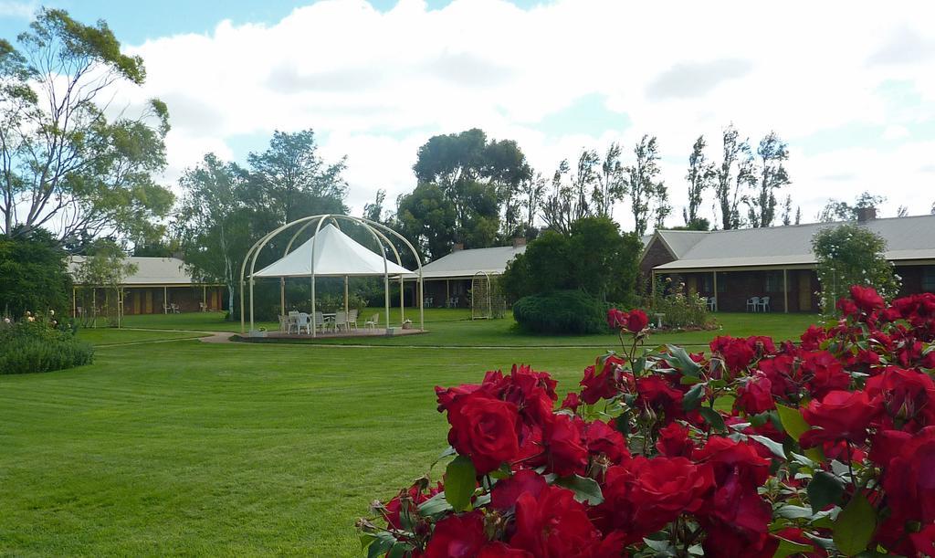 Coonawarra Place Motor Inn Exterior photo