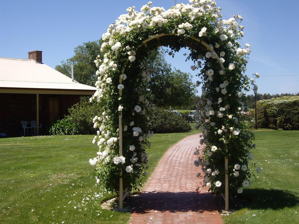 Coonawarra Place Motor Inn Exterior photo