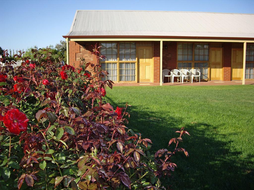 Coonawarra Place Motor Inn Exterior photo