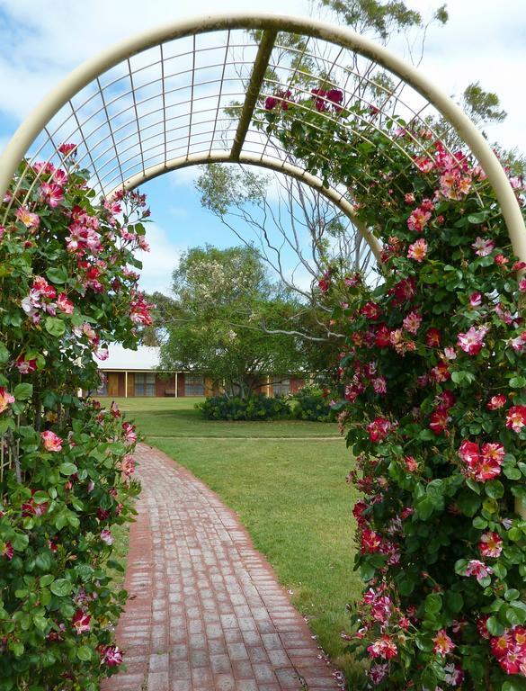 Coonawarra Place Motor Inn Exterior photo