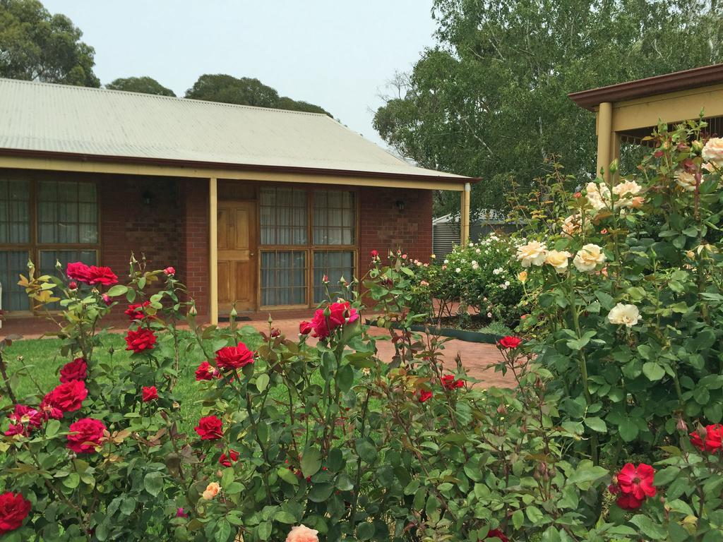 Coonawarra Place Motor Inn Exterior photo