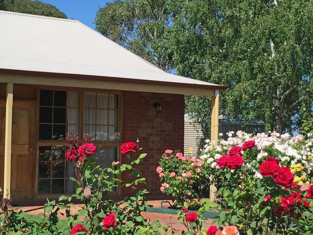 Coonawarra Place Motor Inn Exterior photo