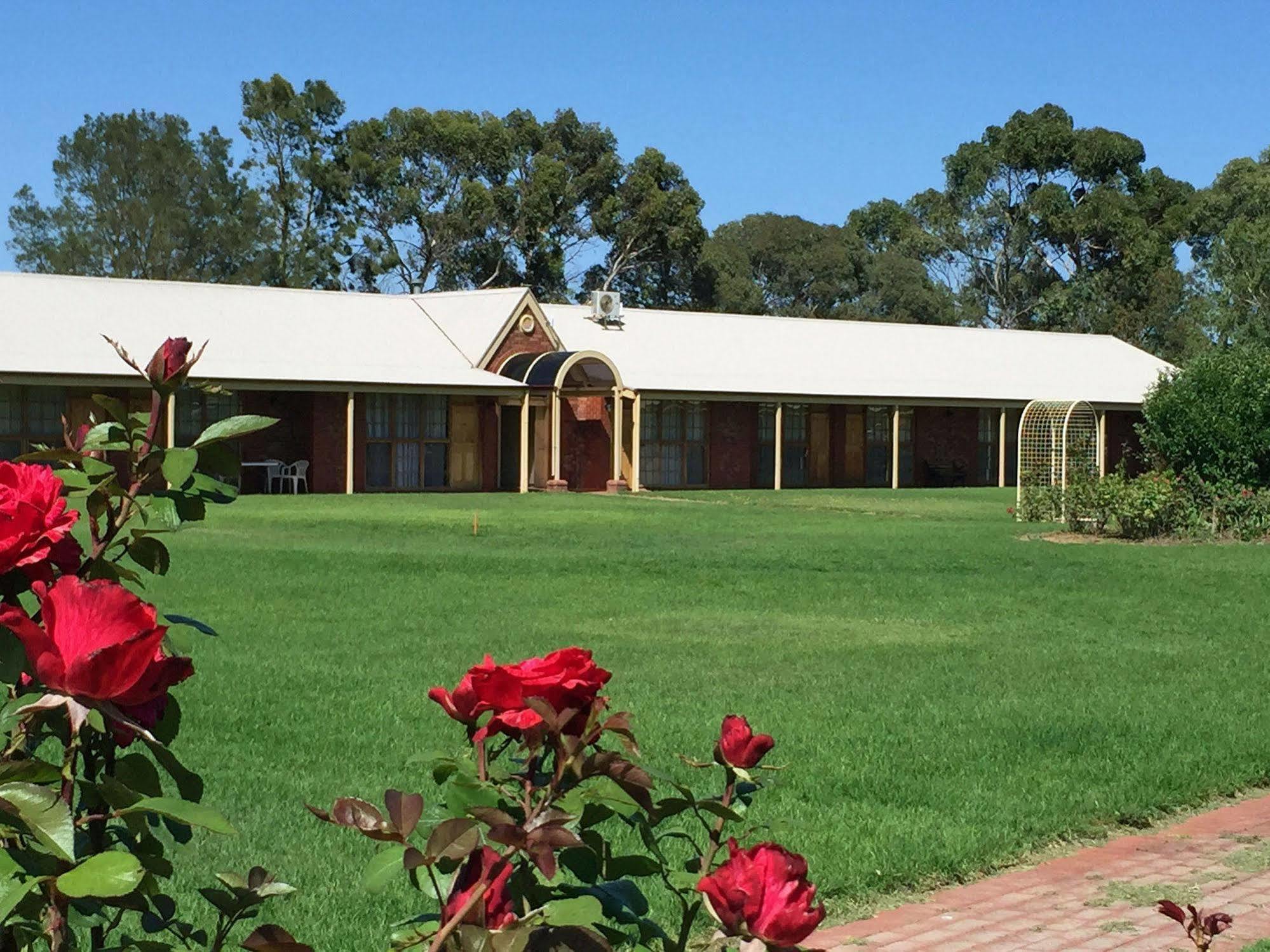 Coonawarra Place Motor Inn Exterior photo