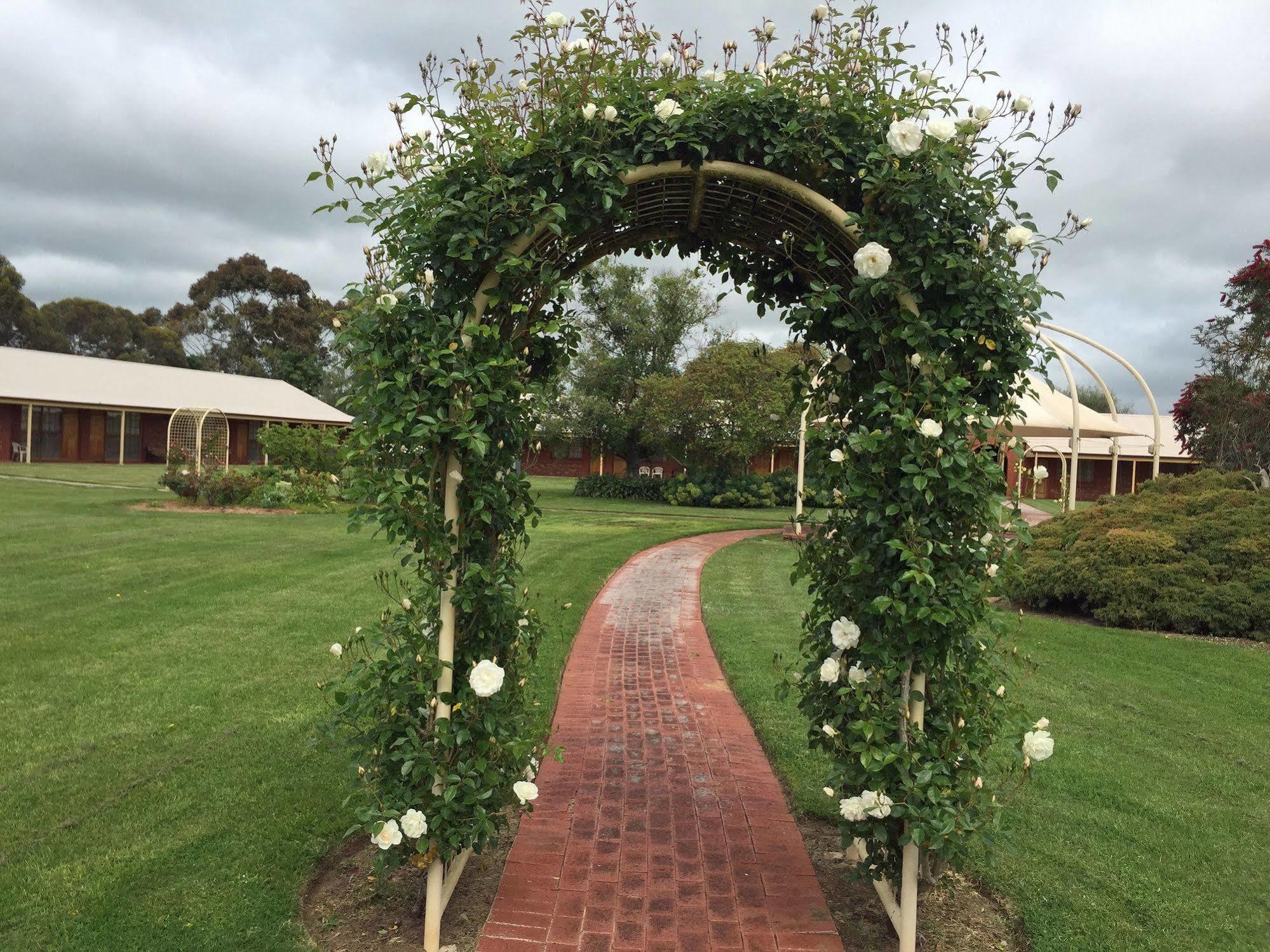 Coonawarra Place Motor Inn Exterior photo