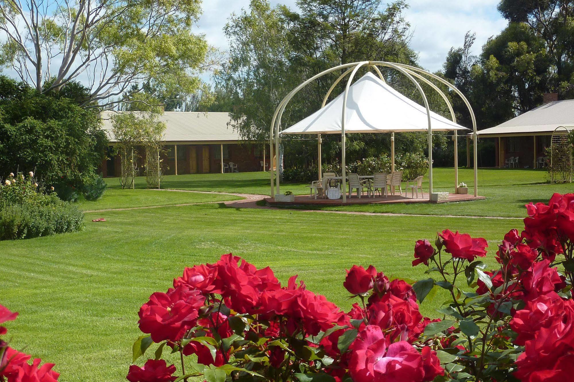 Coonawarra Place Motor Inn Exterior photo