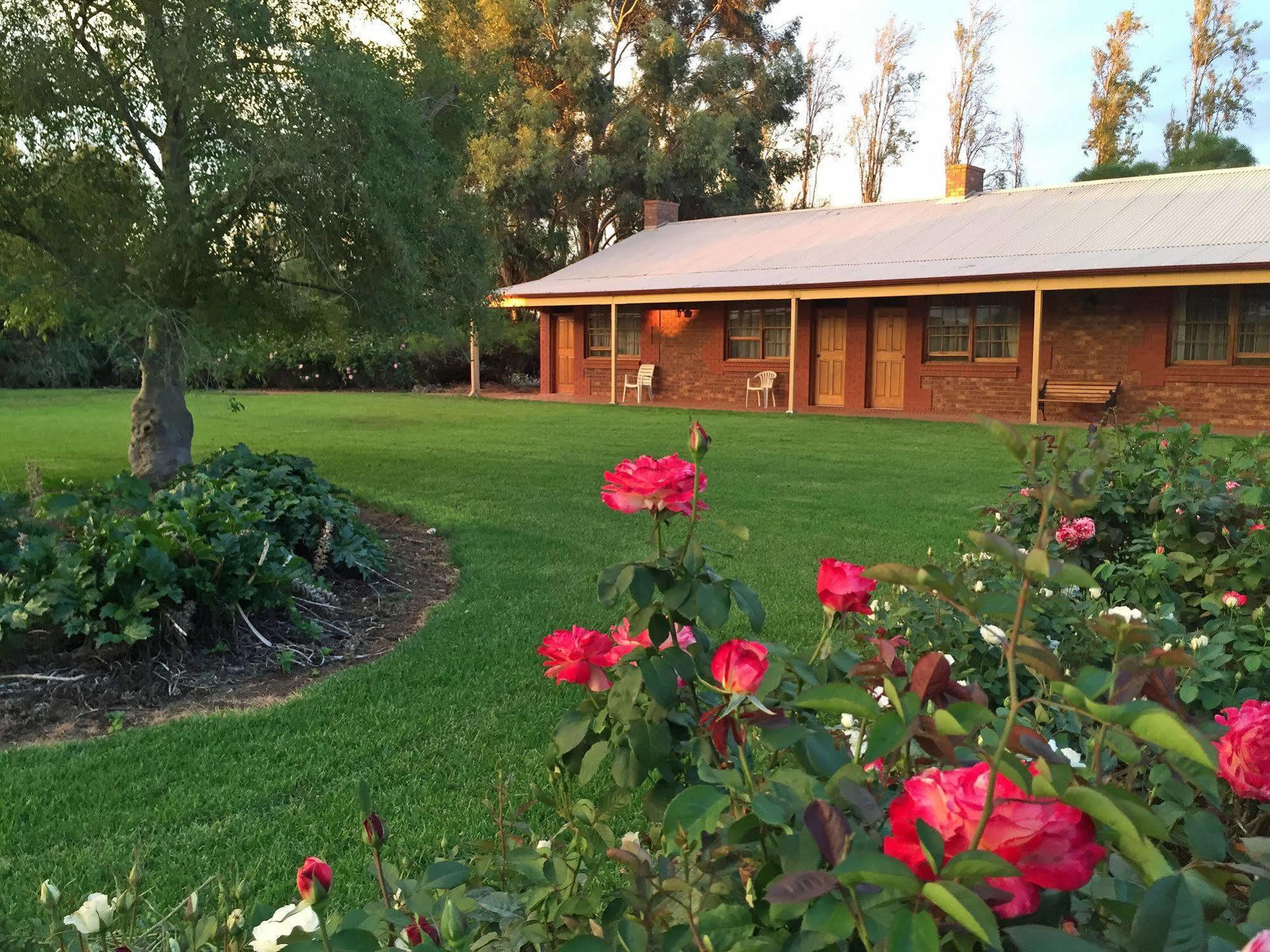 Coonawarra Place Motor Inn Exterior photo