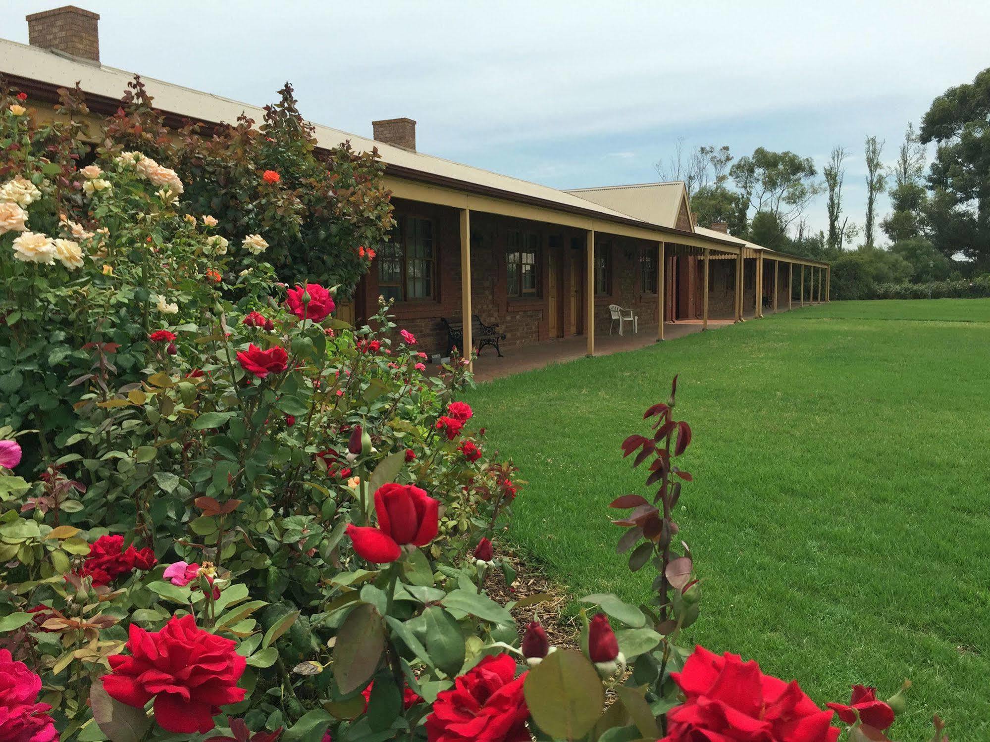 Coonawarra Place Motor Inn Exterior photo