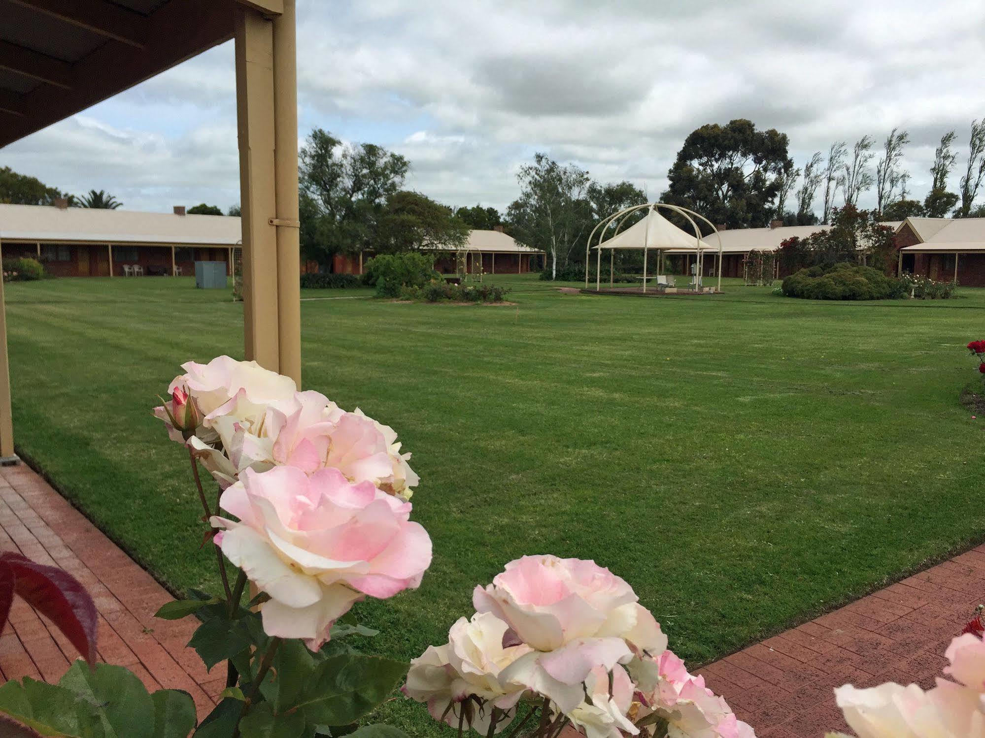Coonawarra Place Motor Inn Exterior photo